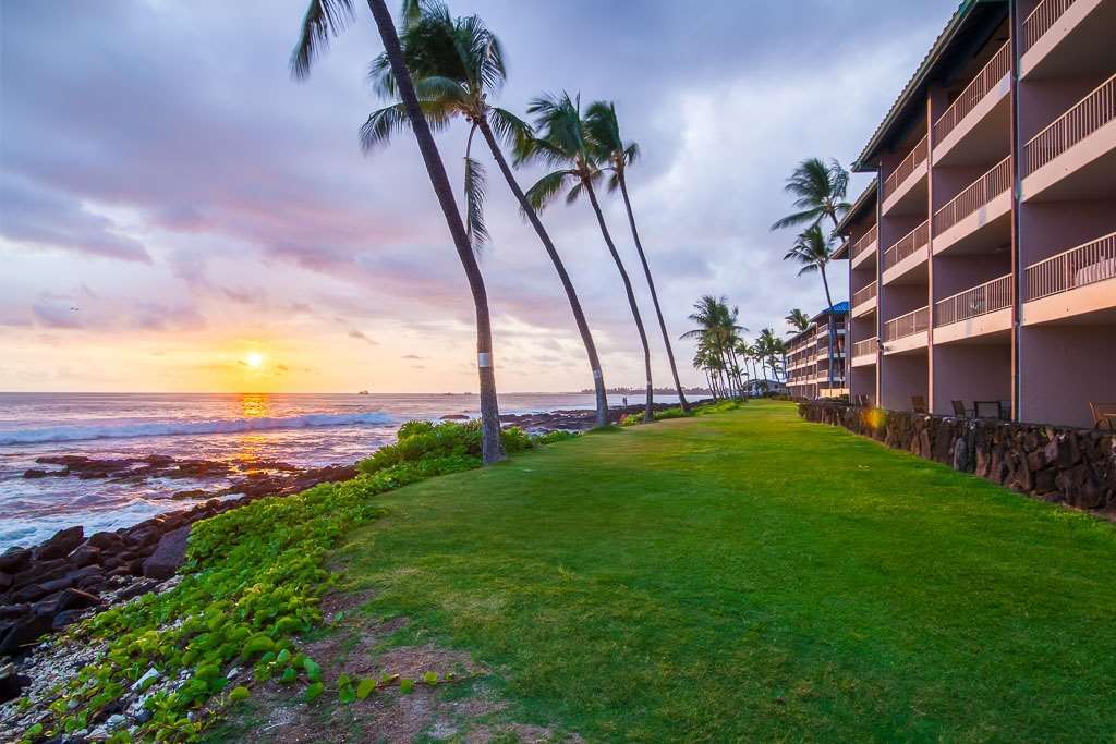 Kona Reef Hotell Kailua-Kona Natur bild