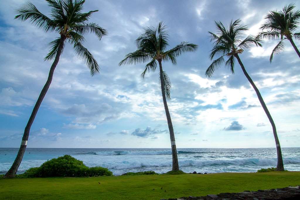 Kona Reef Hotell Kailua-Kona Rum bild